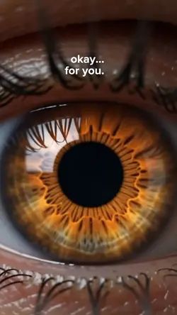fenix2