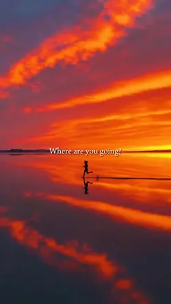 Where are you going?