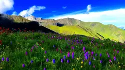 nechural nepal 