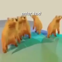 bears dancing memes 
