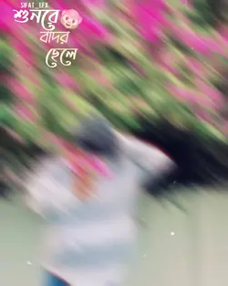 শুনরে বাদর ছেলে