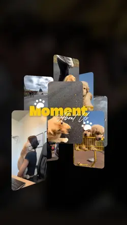 Pet moment