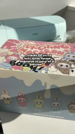 labubu fancam