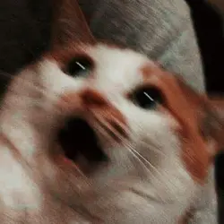 volví jaja