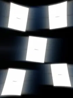 TikTok viral 
