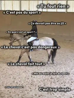 Équitation 