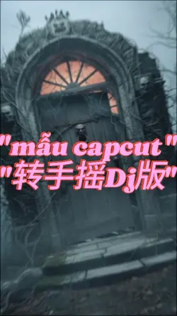 "转手摇"