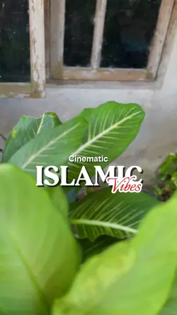 ISLAMIC VIBES