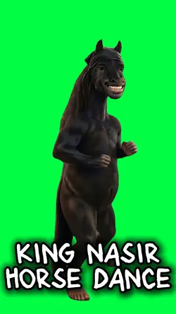 KING NASIR HORSE