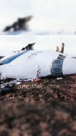 Flight 103