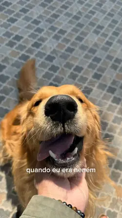 quando eu era neném