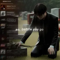 Before You Go