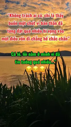 Không trách ai cả