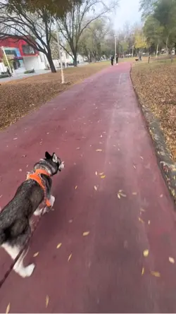 Training