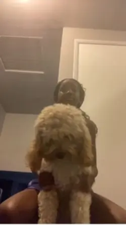 Now wiggle wiggle 