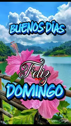 Feliz Domingo 