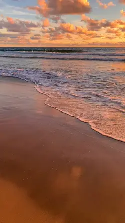 symphony