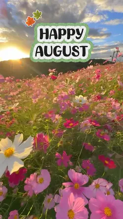 happy august
