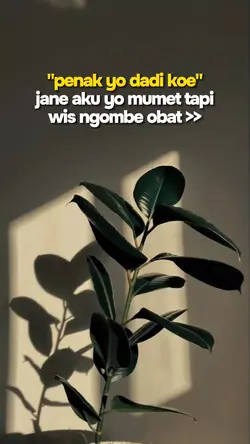 jane yo mumet