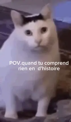 trop vrai 