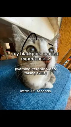 blackpink deadline