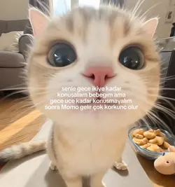 bensımdıdenkorktum
