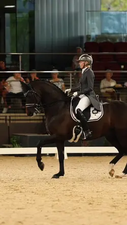 dressage