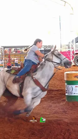 Rodeio 3 tambor