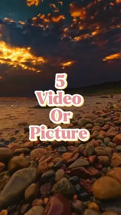 5 video or picture 