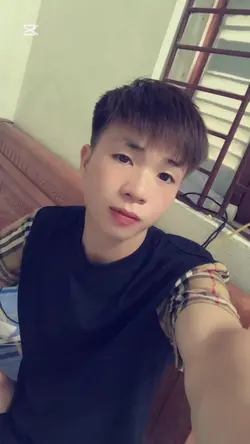 Dừng hình