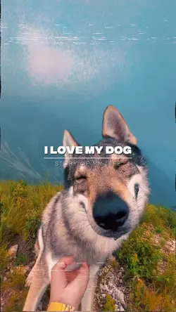 my dog