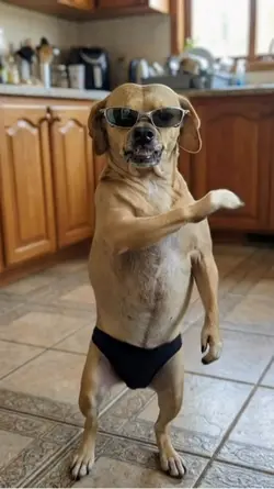 PASSINHO DO JAMAL 🔥