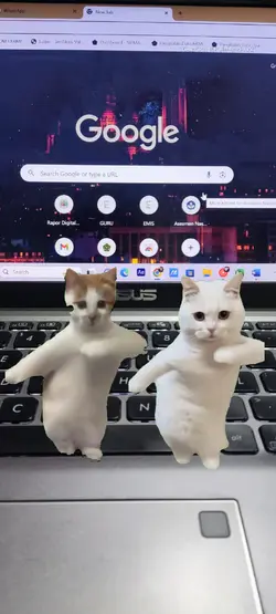 kucing joget viral 