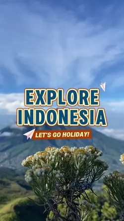 Let's Go Holiday