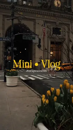 mini vlog