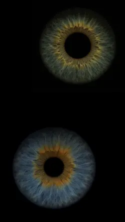 .|.