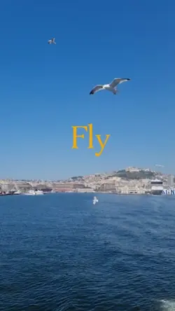 Freedom 