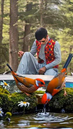 Awsome Viral Brids