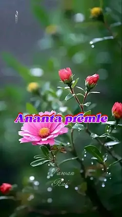 Ananta premla