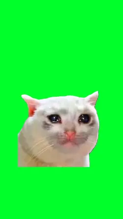 Crying cat