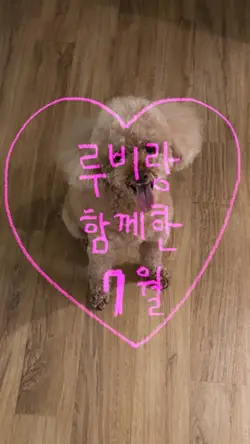 강아지와 함께한 7월