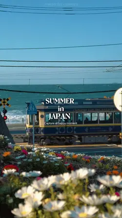 Summer in Japan 