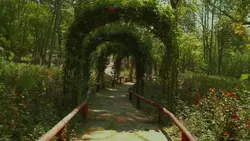 fairytale cinematic