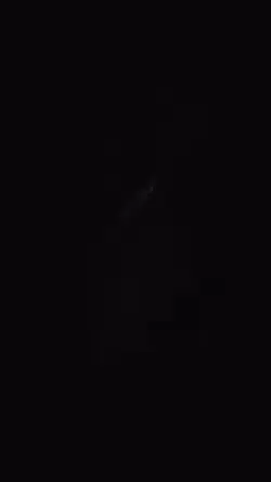 tiktok viral 