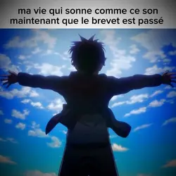 le brevet 