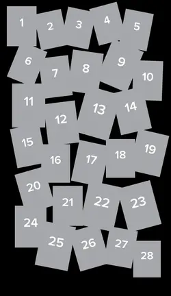 28 frame