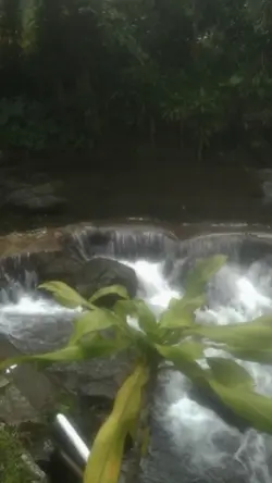 mentahan video 