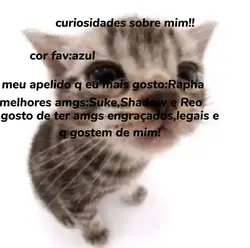 curiosidades
