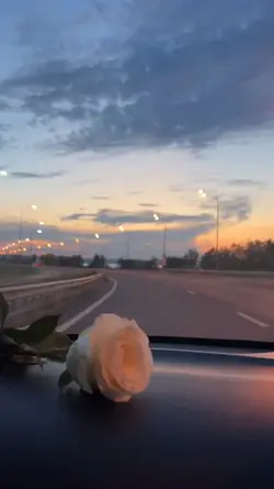 papa punya sayang