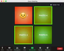 Zoom Call